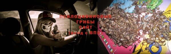 МДПВ Кулебаки
