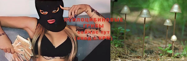 МДПВ Кулебаки