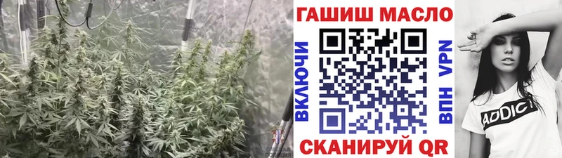 наркота  Рыбинск  Дистиллят ТГК Wax 