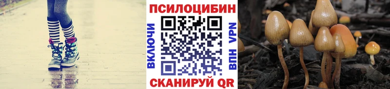 Псилоцибиновые грибы ЛСД  Рыбинск 