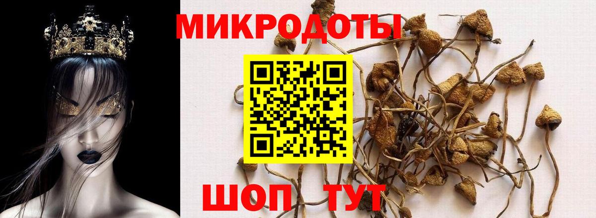 Псилоцибиновые грибы Cubensis  наркотики  Рыбинск  Галлюциногенные грибы GOLDEN TEACHER  Вход с VPN 