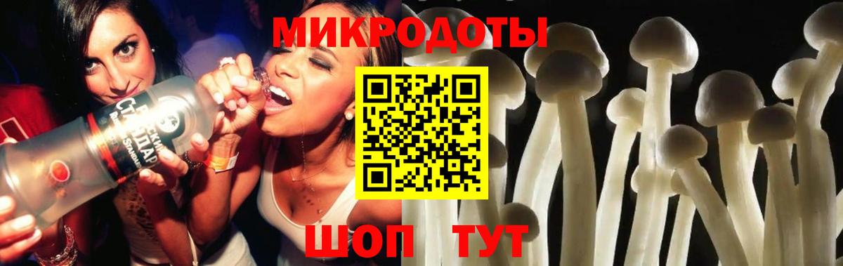 Псилоцибиновые грибы мицелий Рыбинск